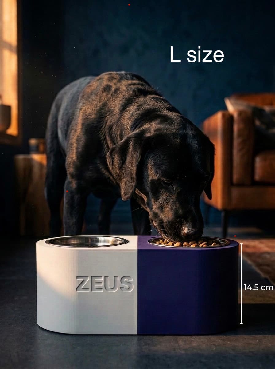 Personalized Dog Bowl - Magnetic Double